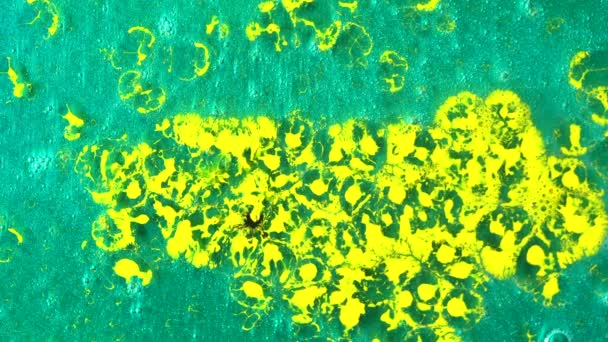El primer plano de la mancha de tinta amarilla y las gotas de tinta negra caen sobre un fondo de gel turquesa. Arte y texturas . — Vídeo de stock