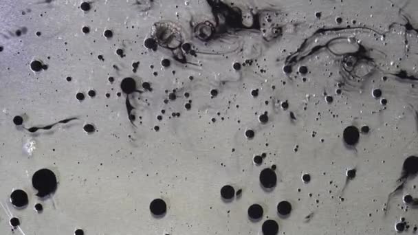 Nahaufnahme schwarzer Farbtropfen auf einer Wasseroberfläche. isoliert auf grau. — Stockvideo