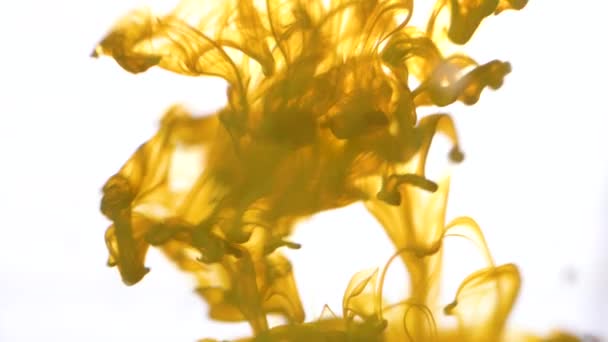 Chiudere per inchiostro colorato sparso in acqua su fondo bianco. Colorato, fumo astratto giallo che cade dall'alto verso il basso . — Video Stock