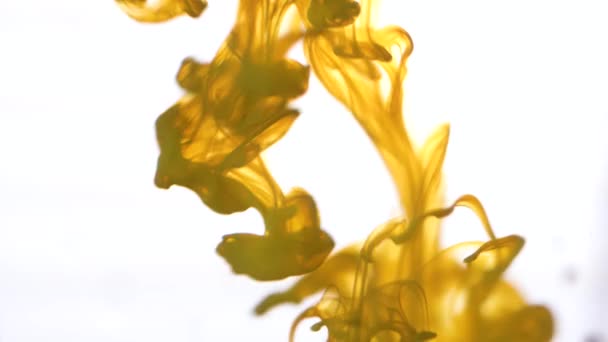 Close-up voor gekleurde inkt verspreiden in water op witte achtergrond. Kleurrijke, gele abstracte rook vallen van boven naar beneden. — Stockvideo