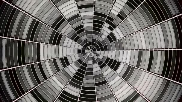 Abstrakt svartvitt cirkel indelad i sektorer som roterande och skimmer oändligt. Glittrande monokrom cirkel med blinkande linjer spinning, sömlös loop. — Stockvideo
