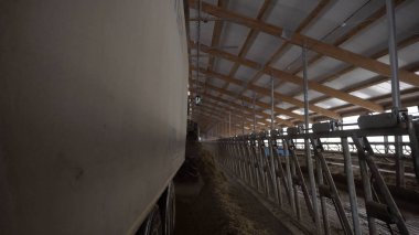 Çiftlikte yem makinesi close-up. Görüntüleri. Besleme kamyon çiftlik hayvanları için yem ahırda kaldırır. Tarım ve Hayvancılık bakım teknolojileri