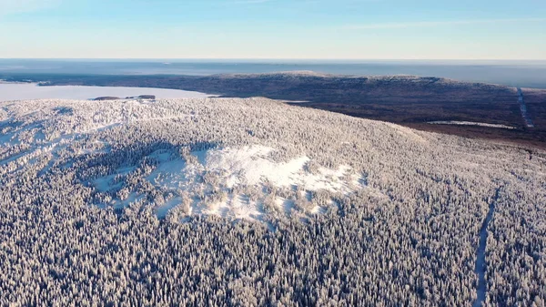 Vista superior de la colina cubierta de nieve. Filmación. Paisaje invernal de zona montañosa con denso bosque de coníferas cubierto de nieve y horizonte nublado con cielo azul — Foto de Stock