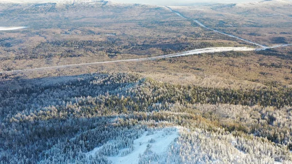 Vista superior de las tierras altas con bosque de coníferas en invierno. Filmación. Hermoso panorama de bosque denso de coníferas cubierto de nieve con tierras altas en un día soleado y claro. Invierno belleza de la naturaleza — Foto de Stock