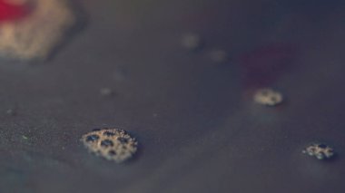 Karanlık su glitter ile close-up. Alt ve yüzey float küçük kabarcıklar su toz Sim ile karıştırılarak yerleşmiş