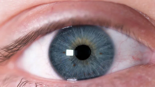 Un primo piano dell'occhio umano. Primo piano di un bellissimo occhio umano blu con macchie marroni sull'iride. Reazione della compressione della pupilla umana nella luce — Foto Stock