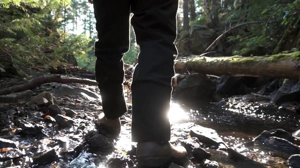 Achteraanzicht van een man wandelen in groene Woud tussen de stream op voorjaar met zon licht op de achtergrond. Beeldmateriaal. Close-up voor poten van een boswachter van de man lopen op pad met rocks en creek op zonnige dag. — Stockfoto