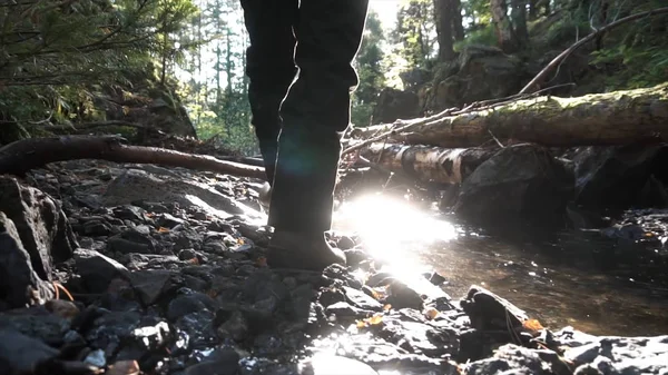 Achteraanzicht van een man wandelen in groene Woud tussen de stream op voorjaar met zon licht op de achtergrond. Beeldmateriaal. Close-up voor poten van een boswachter van de man lopen op pad met rocks en creek op zonnige dag. — Stockfoto