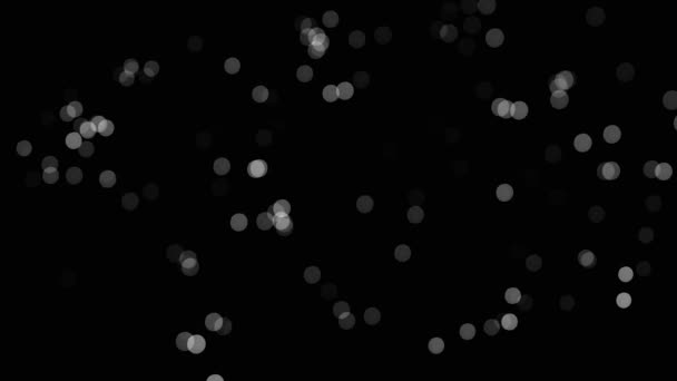 Glittering white circles, shiny particles shimmering on black background. Blur, monochrome, small dots blinking, seamless loop. — Stock Video