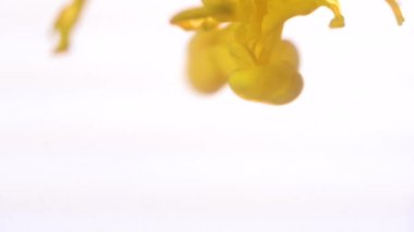 Su renklerde yakın çekim sıçrama. Renkli arka plan renkleri beyaz zemin üzerine su sıçrama. Soyut sanat sonbahar renkleri suda