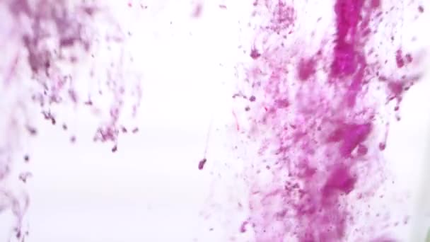 Nahaufnahme Farbtupfer im Wasser. bunten Hintergrund der Farbspritzer im Wasser auf weißem Hintergrund. Abstrakte Kunst fallen Farben ins Wasser — Stockvideo