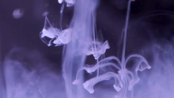 Bläck plaska i vatten. Närbild av abstrakt bakgrund av vitt bläck falla i vatten på svart bakgrund. Effekten av flytta rök eller dimma sinne — Stockvideo