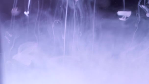 Tintenspritzer im Wasser. Nahaufnahme eines abstrakten Hintergrundes aus weißer Tinte, die ins Wasser fällt, auf schwarzem Hintergrund. Wirkung von Rauch oder Nebel — Stockvideo