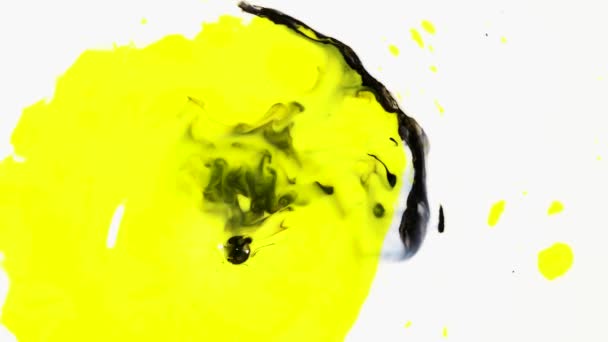 Peintures multicolores verser dans les modèles de lait. Gros plan de peinture colorée brillante dégoulinant sur la surface du liquide blanc. Belles stries abstraites de couleurs fluides de jaune et de noir — Video