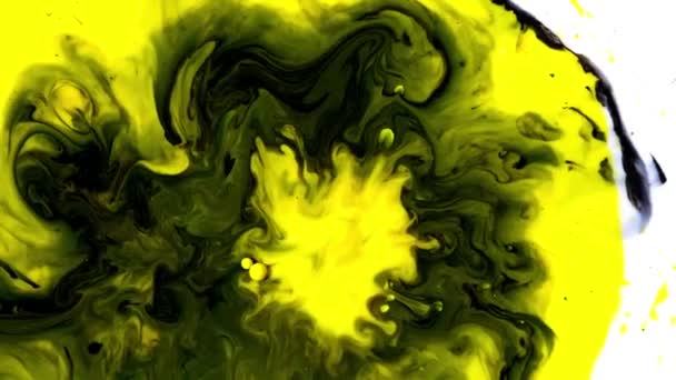 Multicolored paints pour into patterns milk. Close-up of bright colorful paint dripping on surface of white liquid. Beautiful abstract streaks of flowing colors of yellow and black — Stock Video