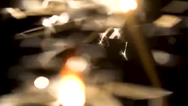 Närbild av sprakande tomtebloss i mörkret. Lite festligt avfyra fyrverkerier på pinnar ljust skiner i mörker. Holiday element — Stockvideo