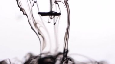 Su beyaz arka planda siyah mürekkep sıçrama close-up. Güzel siyah boya kadar karanlık tüm alanı dolduran Kara duman gibi suya daldırır.