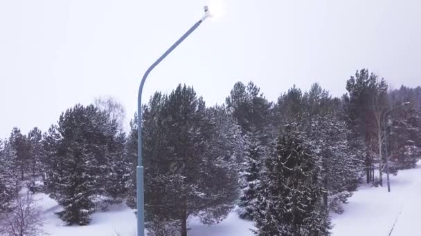 Einsame Straßenlaterne im Schneefall. Clip. Ansicht von oben einfache Straßenlaterne schwach leuchtet auf der Straße in Nadelwald Park bei schönem Schneefall — Stockvideo