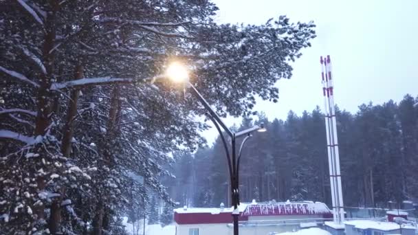 雪の森の背景上の街灯の平面図です。クリップ。夕暮れ時の森エリアにパイプを持つ企業の背景に街路灯に照らされた雪の美しい景色 — ストック動画