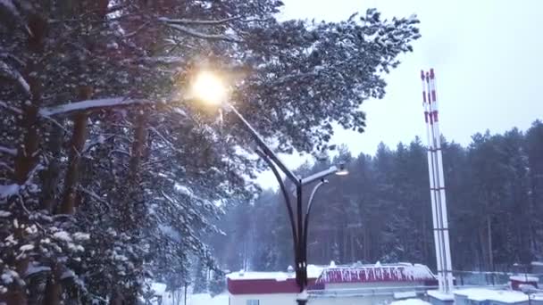 雪の森の背景上の街灯の平面図です。クリップ。夕暮れ時の森エリアにパイプを持つ企業の背景に街路灯に照らされた雪の美しい景色 — ストック動画