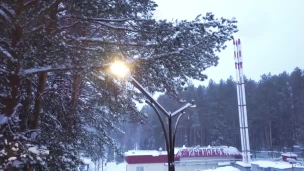 雪の森の背景上の街灯の平面図です。クリップ。夕暮れ時の森エリアにパイプを持つ企業の背景に街路灯に照らされた雪の美しい景色 — ストック動画