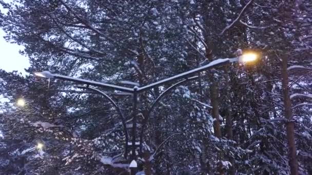 Вулична лампа світиться в снігу проти лісу. Кліп. Вид зверху на подвійний ліхтар з підсвічуванням снігу на тлі хвойних лісів — стокове відео
