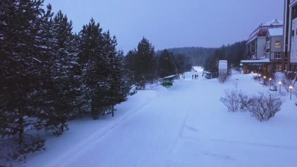 Familie wandelingen op park weg in de winter. Clip. Bovenaanzicht van familie lopen in sneeuwval op pad met lantaarns in resort in avond in de winter — Stockvideo