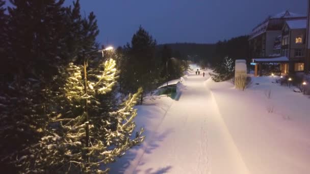 As luzes de rua iluminam o caminho com pessoas que andam no parque no inverno. Clipe. Bela noite de inverno com pessoas andando na queda de neve no parque turístico iluminado — Vídeo de Stock