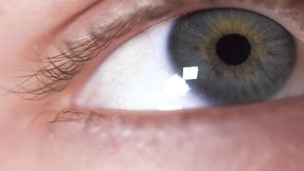Un primer plano del ojo humano. Primer plano de hermoso ojo humano verdoso con manchas marrones en el iris. Reacción de apretar la pupila humana a la luz —  Fotos de Stock