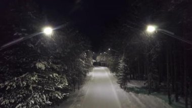 Park yolu karda geceleri. Küçük. Gizemli ve korkunç orman iz her şey karanlığa dalan ışıkları kapatarak, üstten görünüm