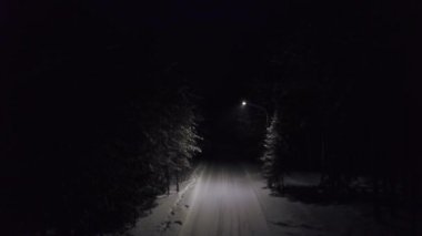 Park yolu karda geceleri. Küçük. Üstten Görünüm parlak ışıkları gece kar yağışı yoğun iğne yapraklı orman yolunda aydınlatıcı. Işıkları orman iz aydınlatıcı harika eklenmesi