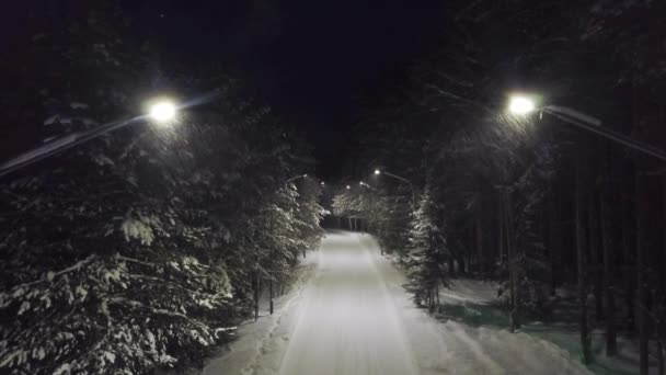 Camino del parque por la noche en la nieve. Clip. Vista superior de luces brillantes iluminando el camino en nevadas en densos bosques de coníferas por la noche — Vídeo de stock