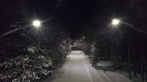 Caminho de parque à noite na neve. Clipe. Vista superior de misterioso e assustador desligar as luzes na trilha da floresta mergulhando tudo na escuridão — Vídeo de Stock