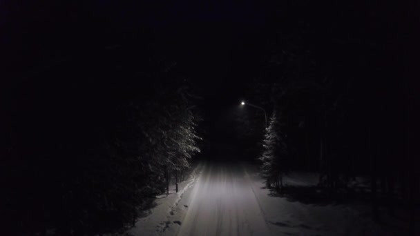 Parcheggiare il sentiero di notte nella neve. Clip. Vista dall'alto di luci luminose illuminando il sentiero in nevicata in foresta densa di conifere di notte. Splendida inclusione di luci illuminanti del sentiero forestale — Video Stock