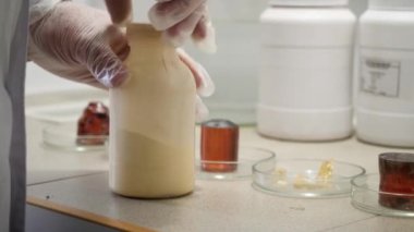 Araştırmacı laboratuvar kimyasal deney yapmak hazırlar. Laboratuvar işçi eldiven closeup şişe kimyasal madde ile kimyasal denemeye hazırlık açar
