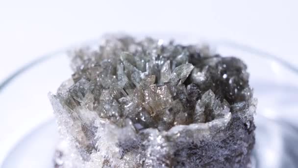 Primer plano de la roca cristalina fósil. Pieza cristalina de mineral oscuro sin tratar que yace en una taza de vidrio sobre un fondo blanco — Vídeos de Stock