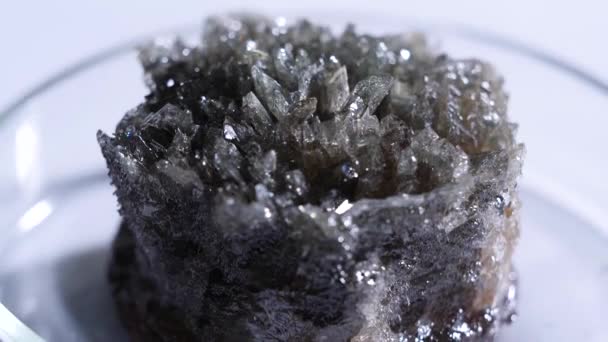 Primer plano de la roca cristalina fósil. Pieza cristalina de mineral oscuro sin tratar que yace en una taza de vidrio sobre un fondo blanco — Vídeo de stock