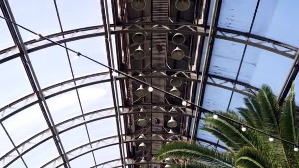 Greenhouse with palm trees. Suns rays illuminate palm branches resting on glass roof of winter garden. Exotic plants and trees in greenhouses — Stock Video