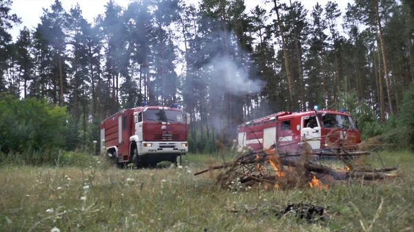 Dois bombeiros vermelhos com luzes piscando perto da floresta para extinguir um incêndio em chamas. Cena. Caminhões de bombeiros em prado verde com piras abandonadas, controle de incêndios florestais e conceito de prevenção . — Fotografia de Stock