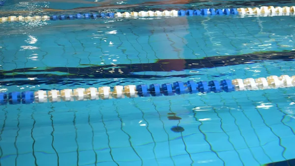 Swimming pool with blue water for sporting swimming with tracks, Close up for clear water in pool with swim lanes.