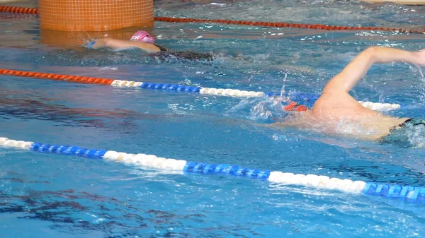 Muchos nadadores entrenan estilo libre en una piscina, estilo de vida saludable, concepto deportivo. Gente nadando en aguas azules y cristalinas de la piscina . —  Fotos de Stock