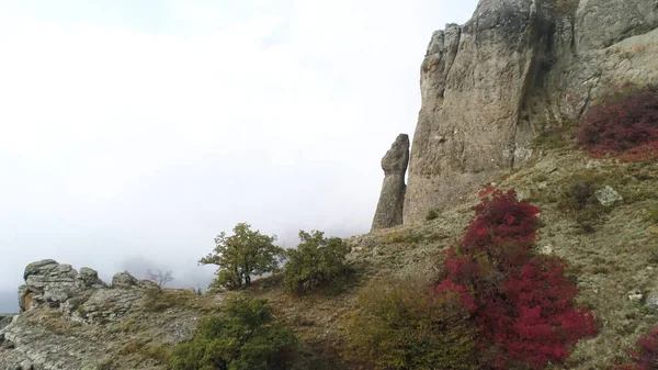 Luchtfoto van de steile kliffen in dichte mist met rode mooie struiken en gele struiken. Schot. Bovenaanzicht van stenen heuvels bedekt met mistige geheimzinnige wolken en kleine struiken, herfst landschap. — Stockfoto