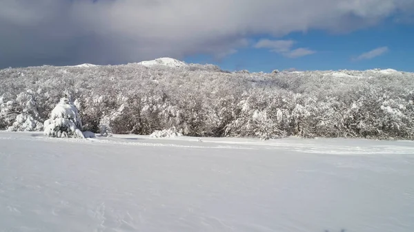 Paysage hivernal fantastique de haute montagne et forêt enneigée sur fond de ciel bleu nuageux. Fusillade. Journée ensoleillée dans des roches blanches et hivernales et des arbres recouverts de neige contre un ciel lumineux . — Photo
