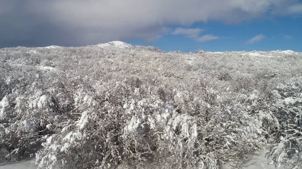 Fantastische Winterlandschaft mit hohen Bergen und verschneiten Wäldern vor bewölktem, blauem Himmel. Schuss. sonniger Tag in Weiß, winterliche Felsen und schneebedeckte Bäume gegen strahlenden Himmel. — Stockfoto