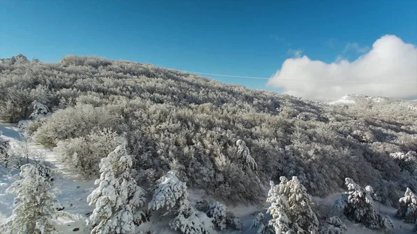 Märchenhafte Winterlandschaft, schneebedeckte Berge und Wälder vor strahlend blauem Himmel. Schuss. Steile Klippe mit Menschen auf schneebedecktem Winterpfad zwischen schneebedeckten Bäumen. — Stockfoto