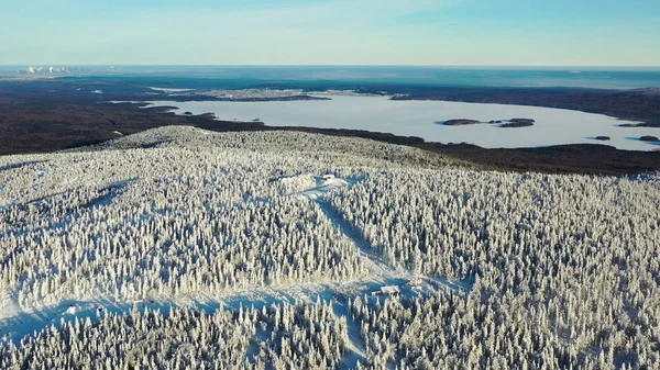 Eine schöne Antenne von Menschen, die in einem schneebedeckten Berg im Skigebiet auf blauem Himmelshintergrund Ski fahren. Filmmaterial. sonnig, Wintertag im grünen Pinienwald und schneebedeckten Alpenhängen mit Standseilbahn. — Stockfoto