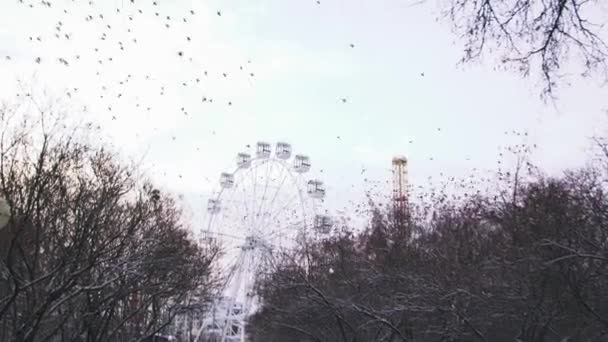 Ruota panoramica immobile nel parco divertimenti su sfondo grigio cielo. Azioni. Bellissimo stormo di uccelli che volano via dal parco divertimenti in autunno senza persone . — Video Stock