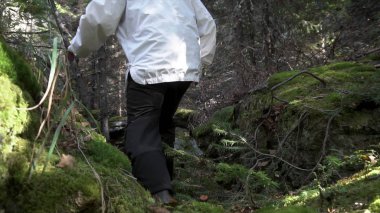 Yosun kaplı ormanlar ve büyük taşlar ile yürüyen bir adam için kapatın. Görüntüleri. Siyah Çizmeli ormanda kayalar almaya çalışırken bir erkek arkadan görünüş.