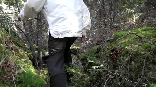 Ung man i vit jacka klättrar upp en stenig väg med grön mossa i skogen. Footage. Hiker försöker klättra hala sten i skogen. — Stockfoto