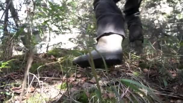 Nahaufnahme für Wanderschuhe in Aktion auf einem Bergpfad. Filmmaterial. Nahaufnahme von Männerstiefeln und -beinen auf felsigem Pfad im Wald. — Stockvideo